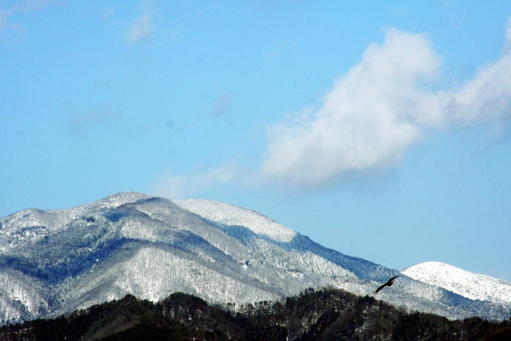 SNOW SHOE TOUR 2019大江山 参加者募集!