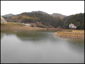 大江てくてくウォーキング 『才ノ神の藤を訪ねる 十倉一宮から才ノ神の藤公園、阿良須神社を歩く』