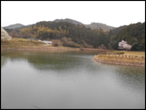 大江てくてくウォーキング　　　　　　　　　　　　　　　　　　　　　　　　　　　　　　『才ノ神の藤を訪ねる　十倉一宮から才ノ神の藤公園、阿良須神社を歩く』