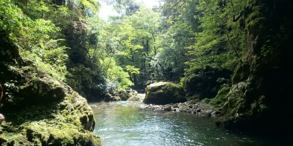 福知山市を見る 