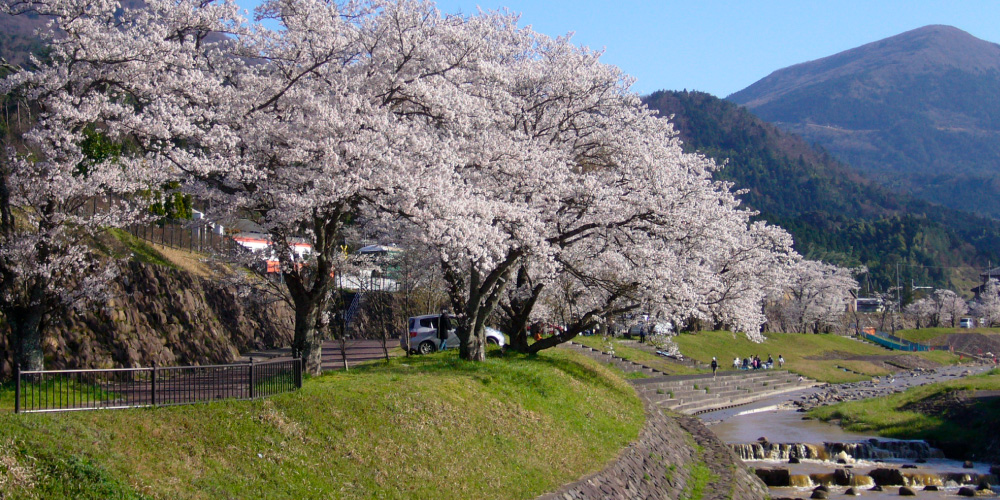 与謝野町を見る