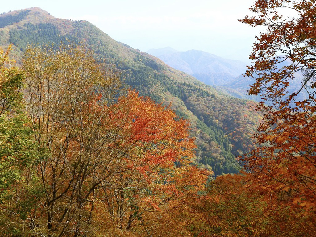 紅葉と自然に包まれて・こころのふるさと大江山