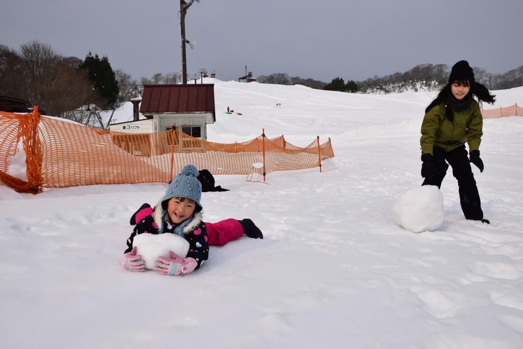 雪のアクティビティー
