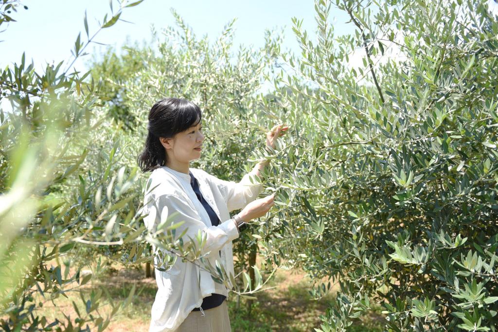 オリーブに魅せられ就農