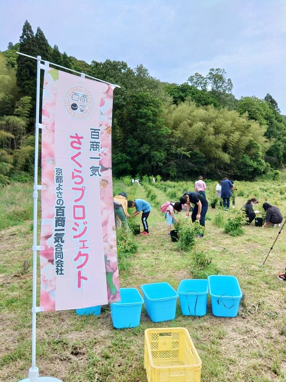 合同会社立ち上げ「食べる桜」を生産