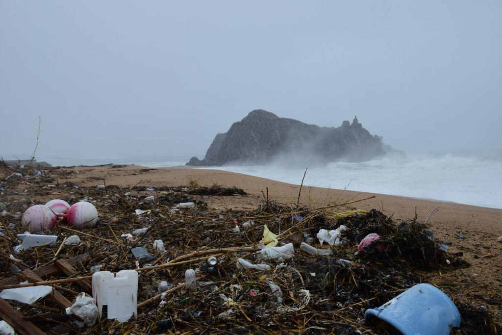 打ち上げられる海ごみ