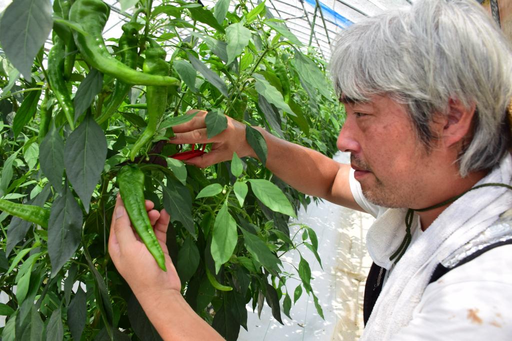 次世代にも価値を