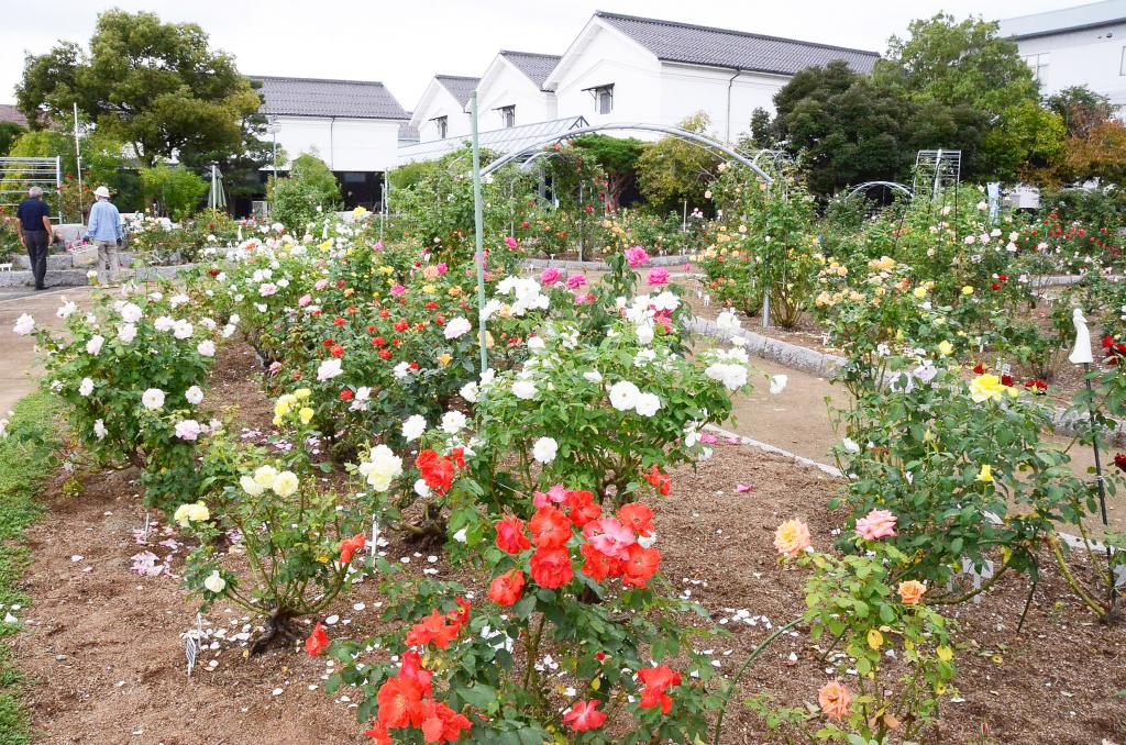 綾部の観光拠点の一つに