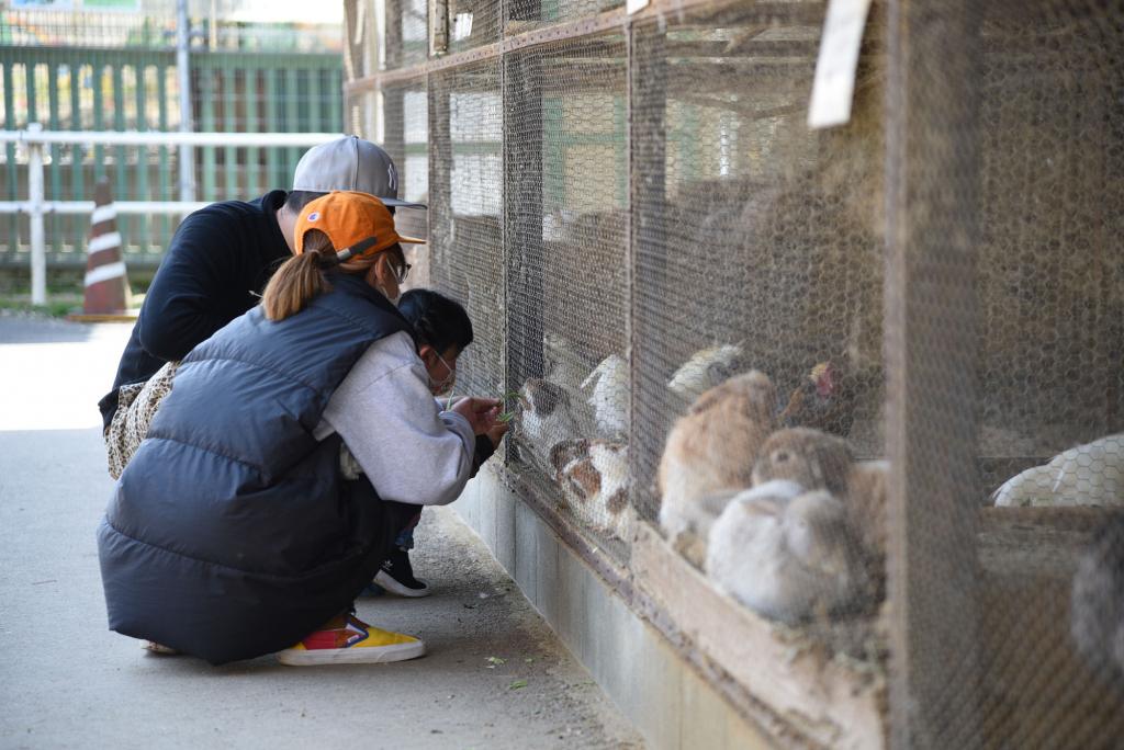 動物との触れ合いで癒やし