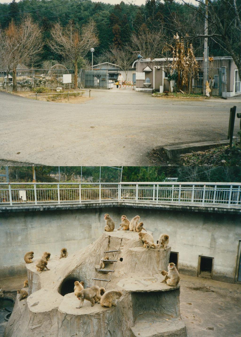 多くの人に動物を　1978年に開園