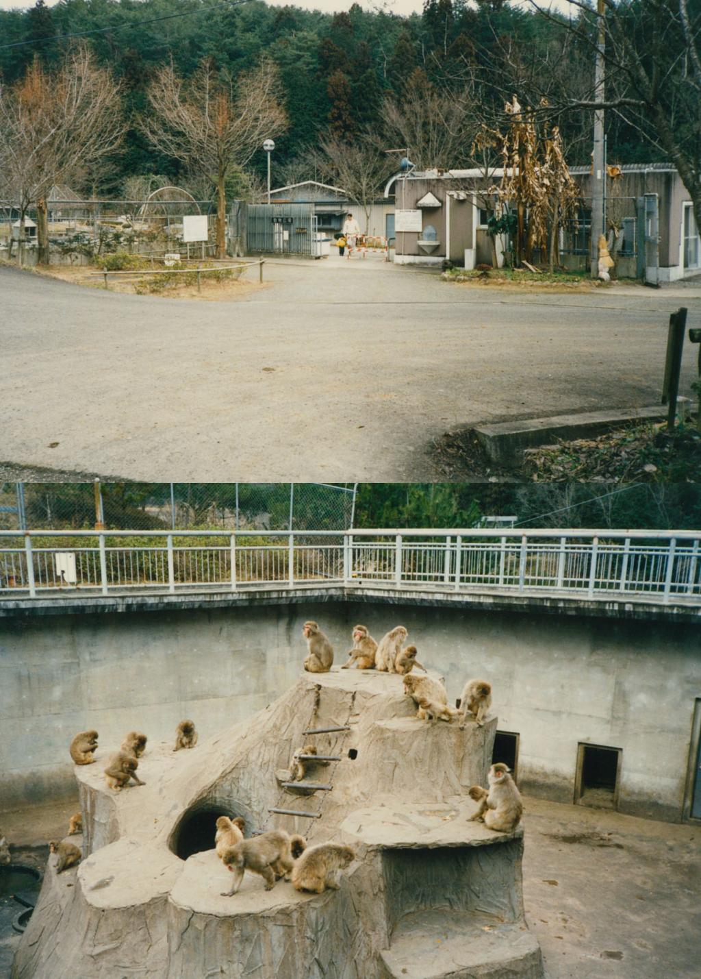 多くの人に動物を 1978年に開園