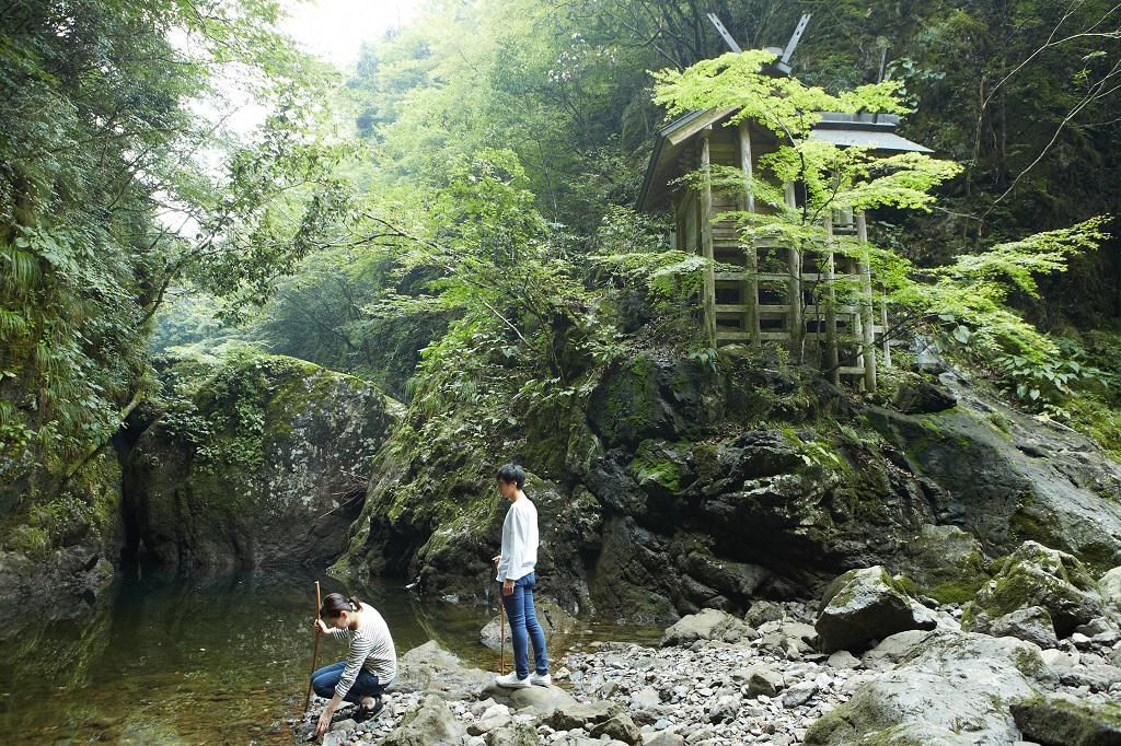 Sacred Power Spot and Dragon Lantern Cedar 3