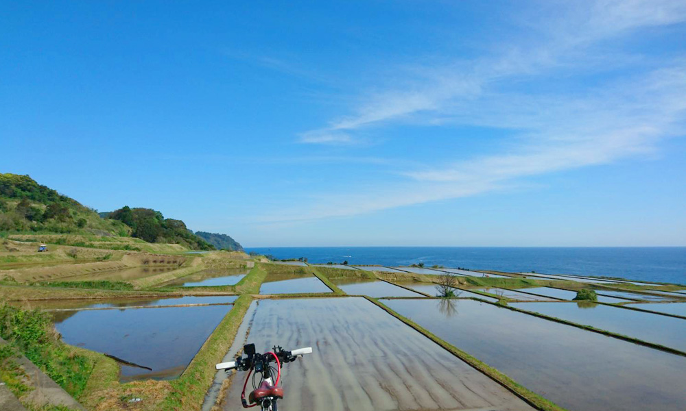 E-bike Rentals: up-close and unexplored 3