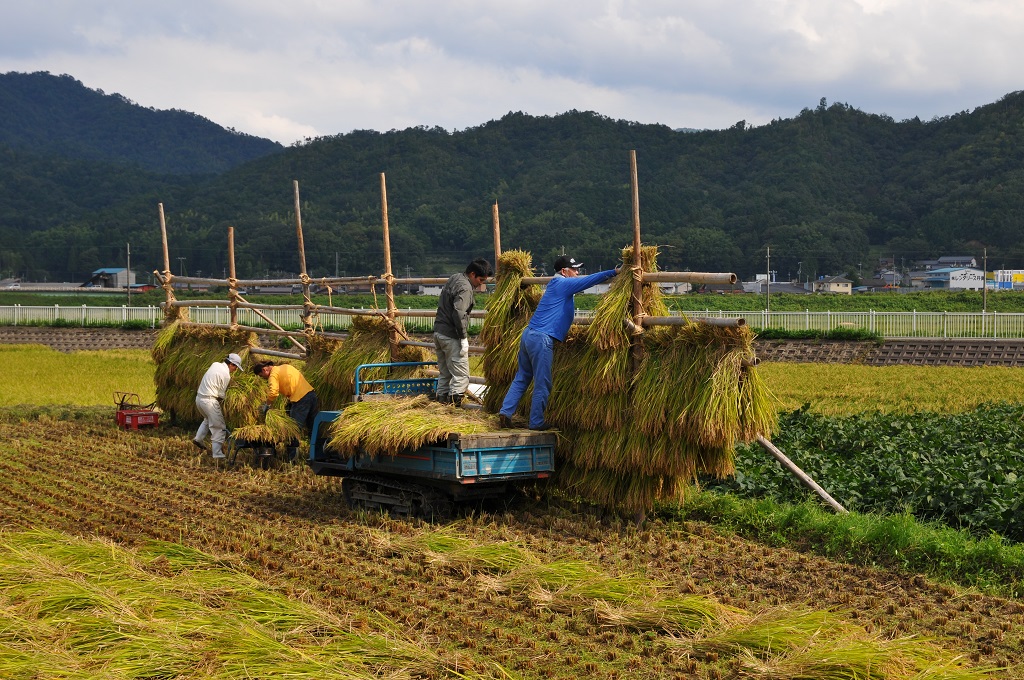 KYOTO BY THE SEAson: fall cuisine 1