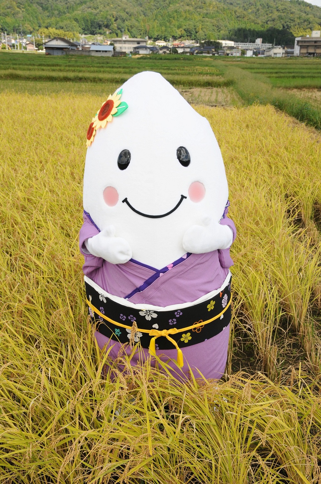 KYOTO BY THE SEAson: fall cuisine 5