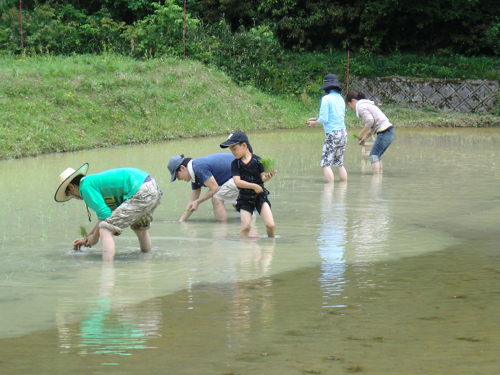 Farmstays 3