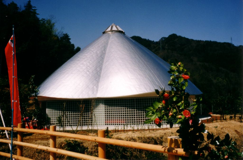 Taki Thousand-year Camellia Tree IN BLOOM 1