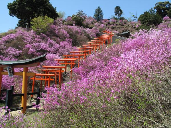 Shishizaki Inari Shrine 1