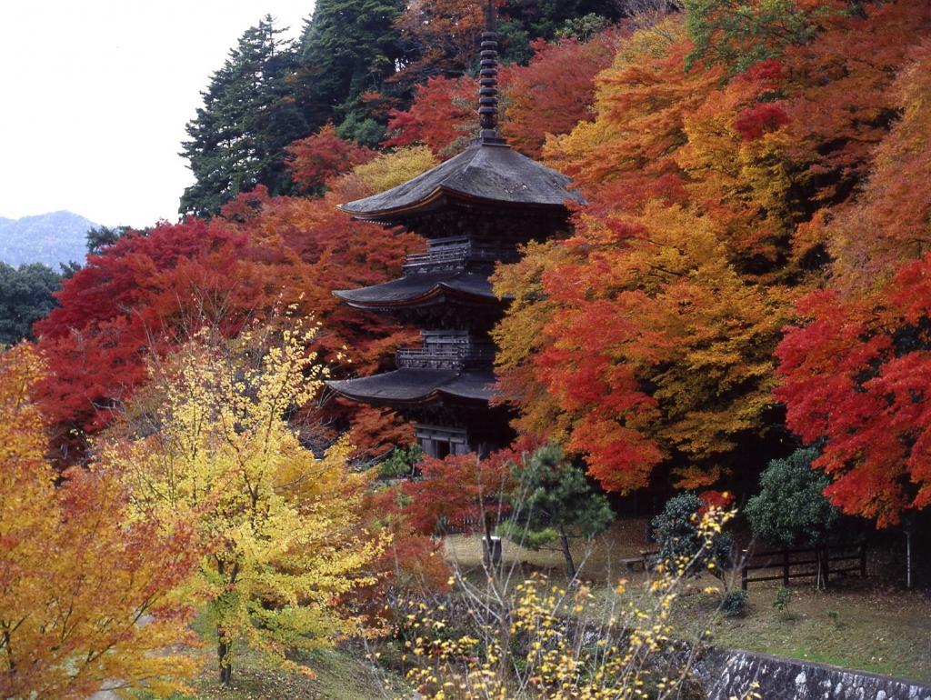 Kongo-in Three-storied Pagoda 1