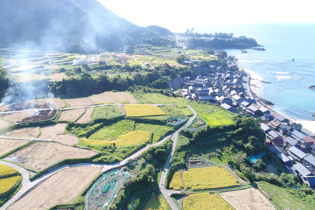 Sodeshi Rice Terraces 1