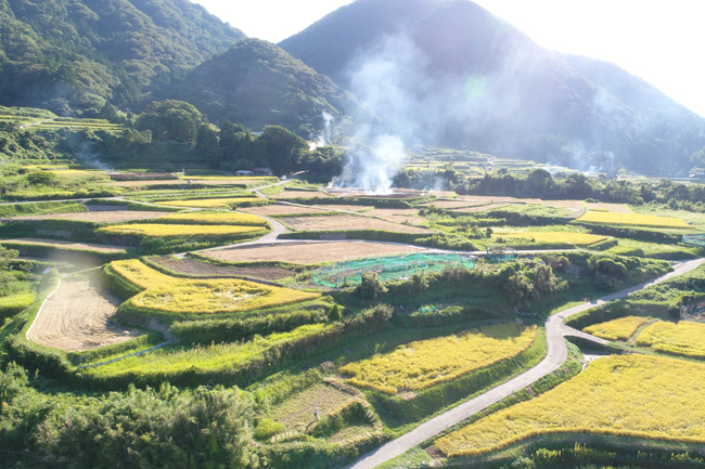 Sodeshi Rice Terraces 3