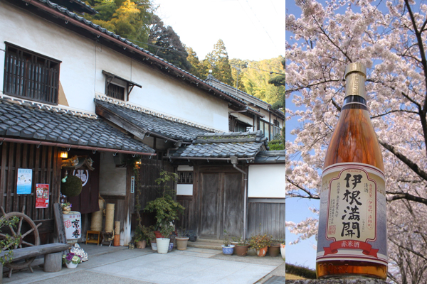 Mukai Shuzo sake brewery (Ine) 1