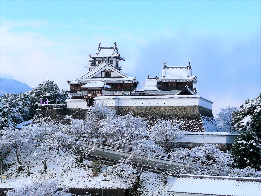 Fukuchiyama Castle and Local Heritage Museum 1