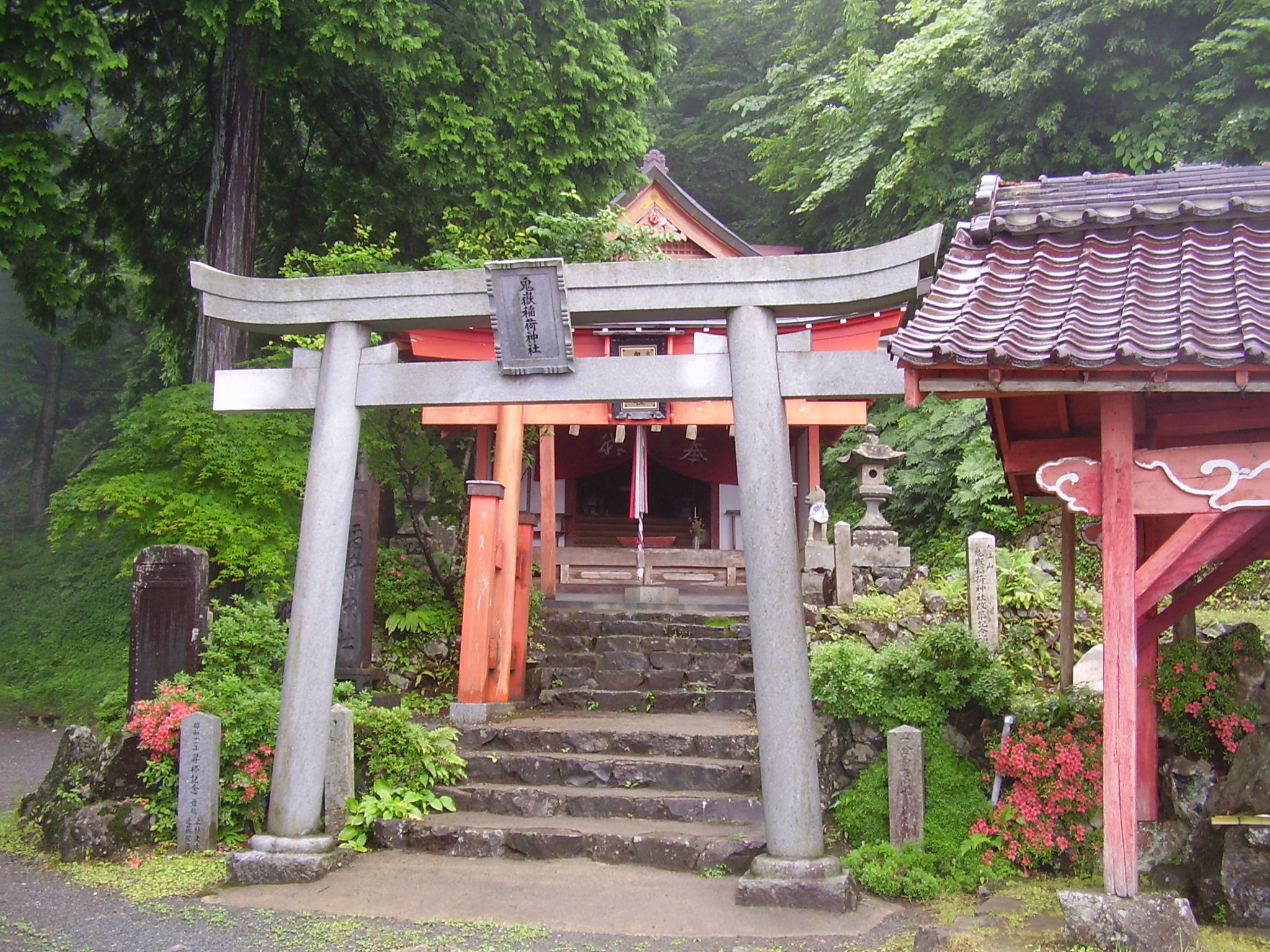 Oeyama Mountain Range 2