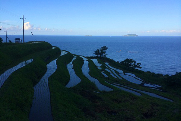 Nii Rice Terraces (Ine) 1