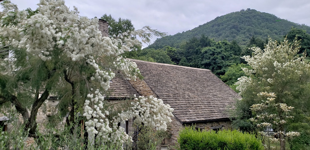 Holiday Home, cottages in nature 1