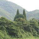 Sea of Clouds, fall (Fukuchiyama) 2