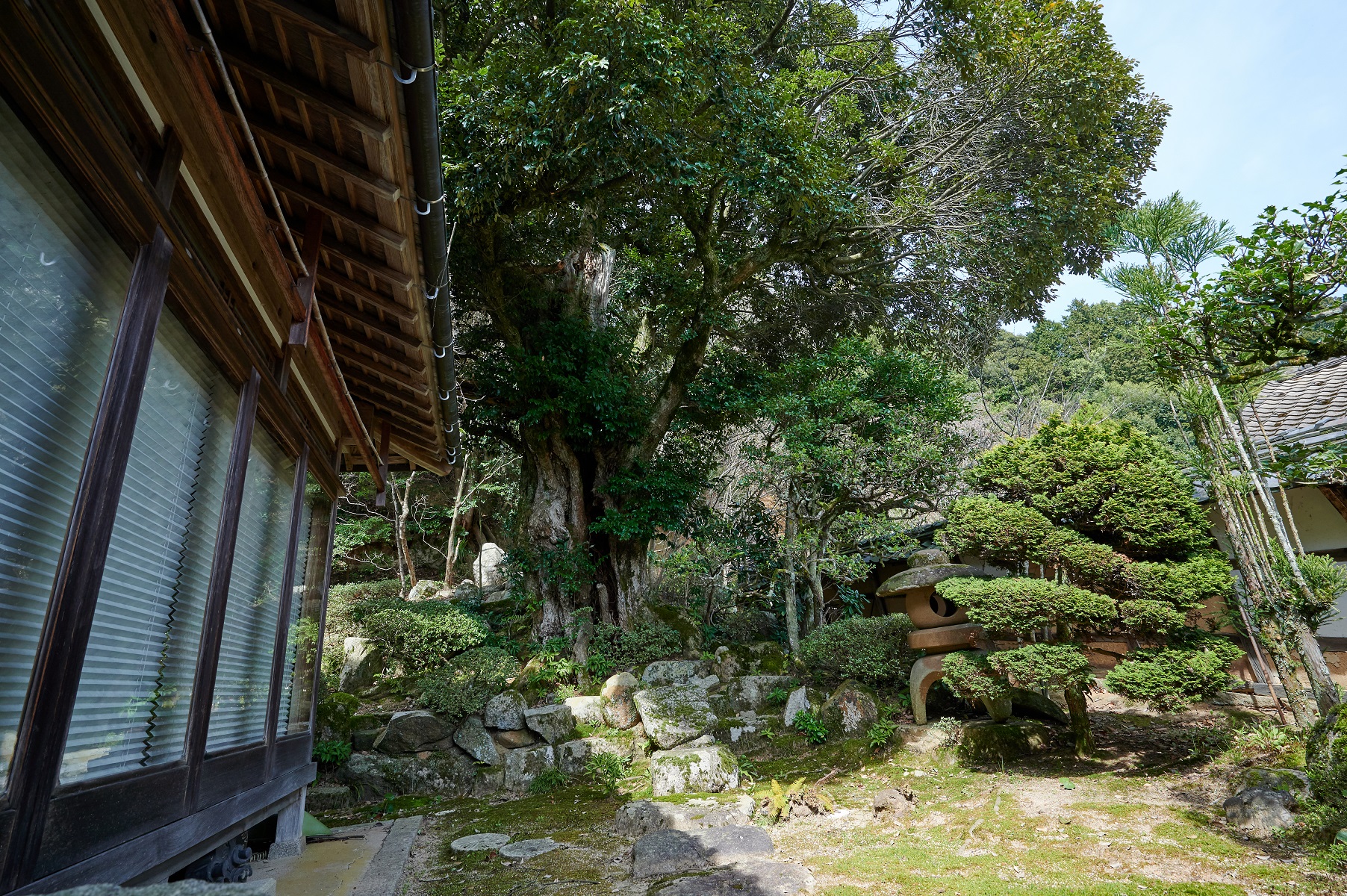 Shirasugi Sake Brewery 3