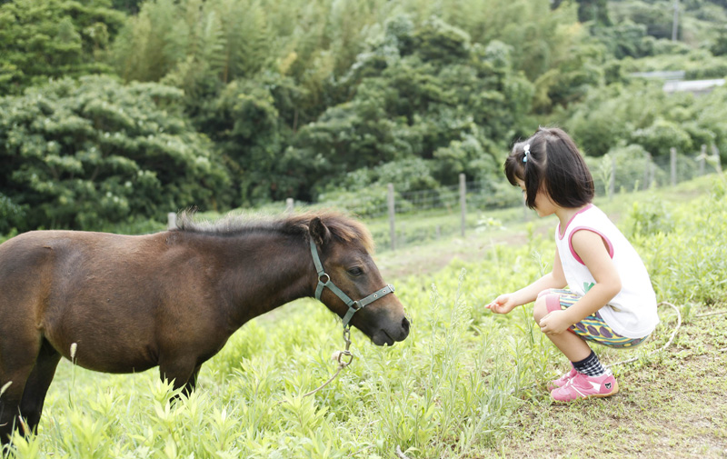 Maizuru Fururu Farm 1