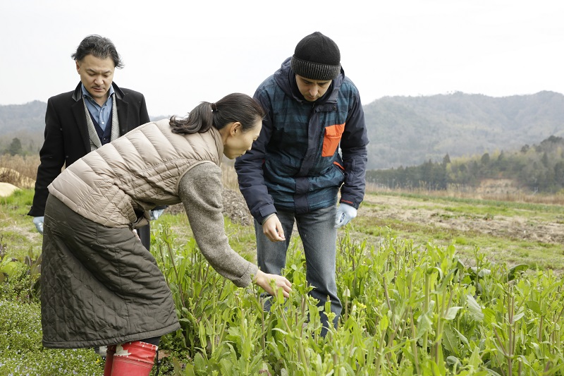 Food Excursion from Maizuru Port (day trip) 
Organic Farm Tour & Cooking Class in Kyoto by the Sea 3