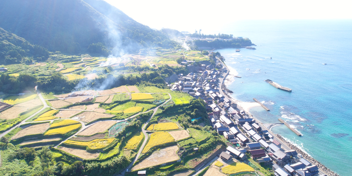 【食の景観　棚田と海岸線　絶景カフェ 】