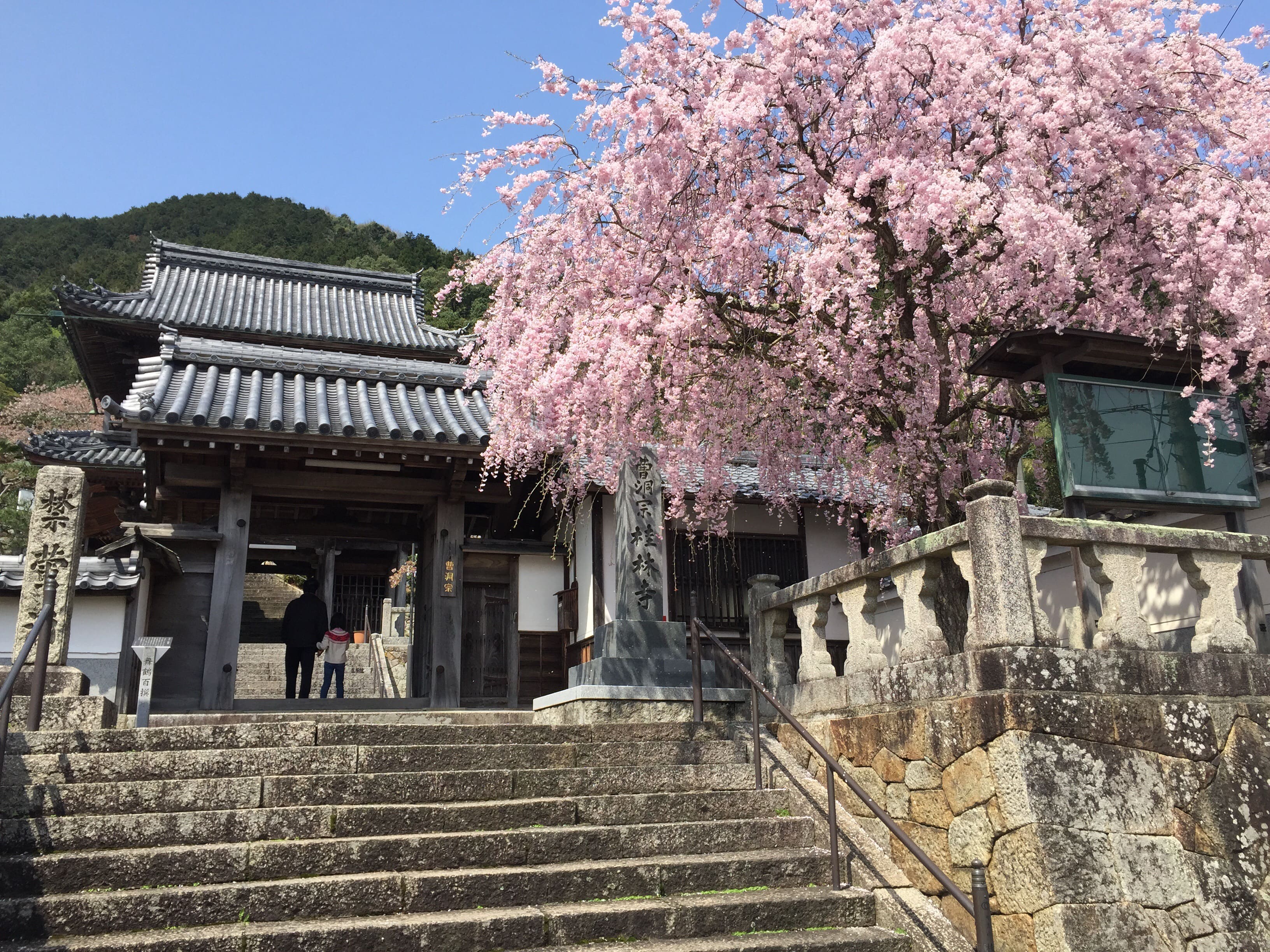 寺町エリア（朝代神社、桂林寺等)