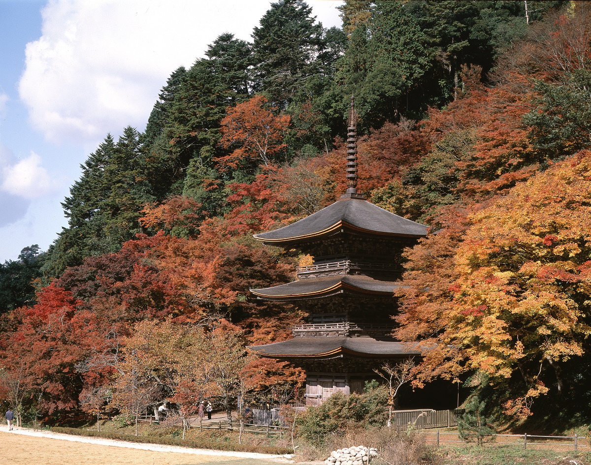 金剛院