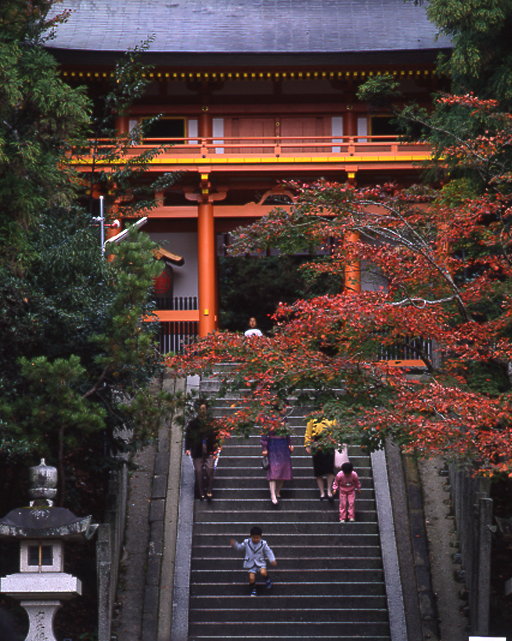 金刀比羅神社　全国でも珍しい「狛猫」