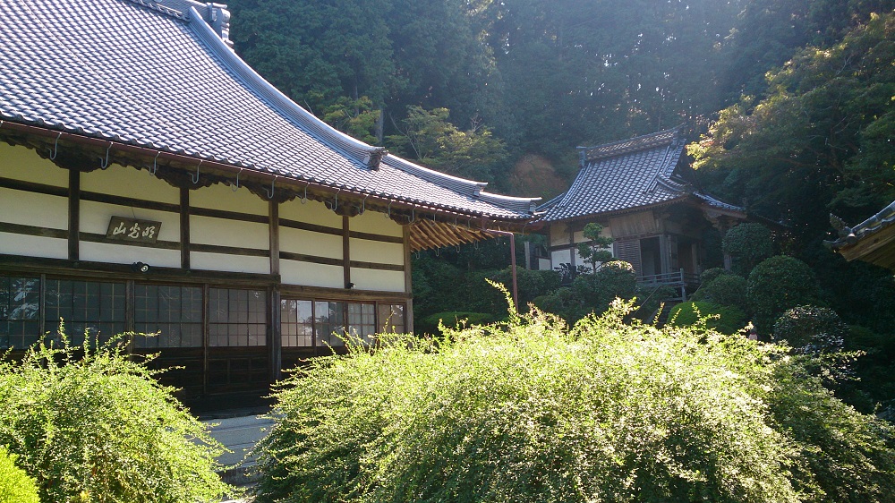 養泉寺