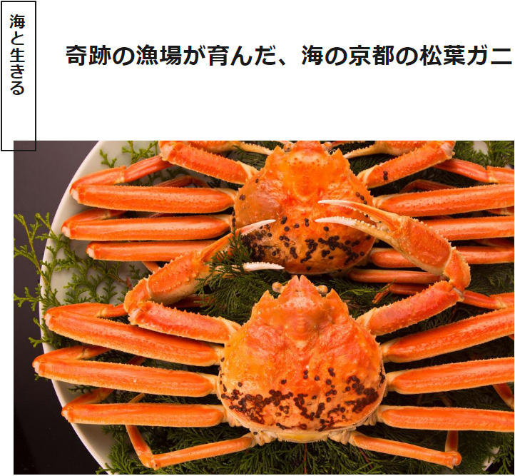 海の京都Times
~奇跡の漁場が育んだ、海の京都の松葉ガニ~