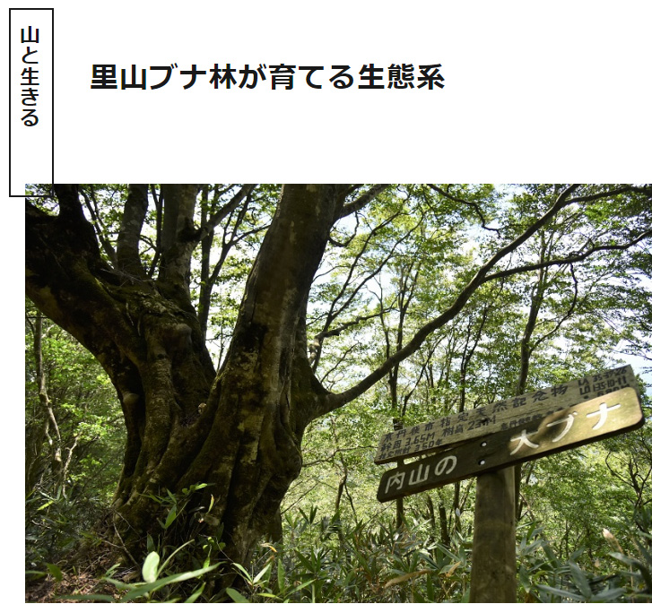 海の京都Times
~里山ブナ林が育てる生態系~