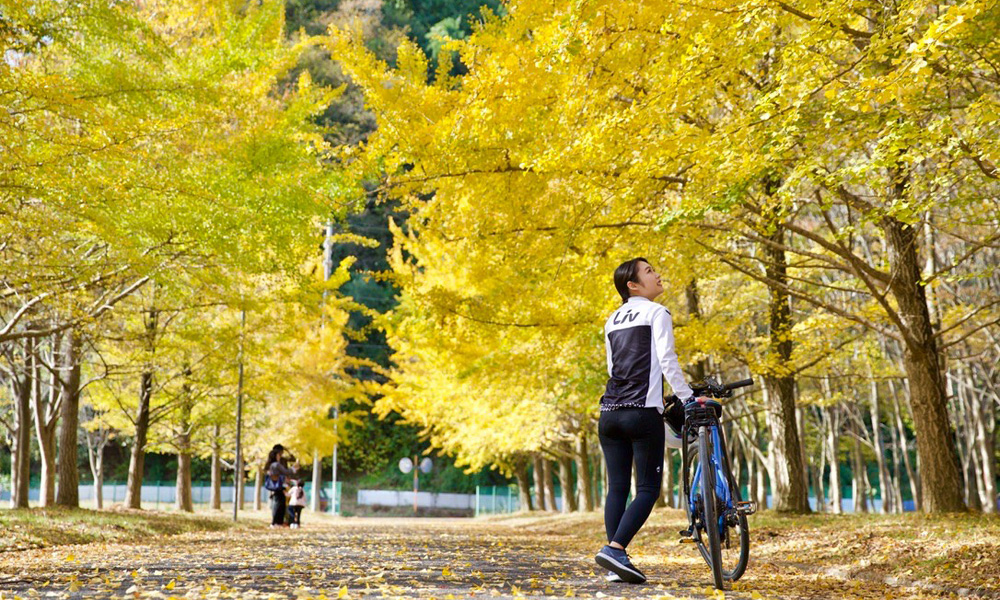 天橋立の「秋」を感じるプレミアムな「e-Bikeガイドツアー（約3時間）」が登場！
