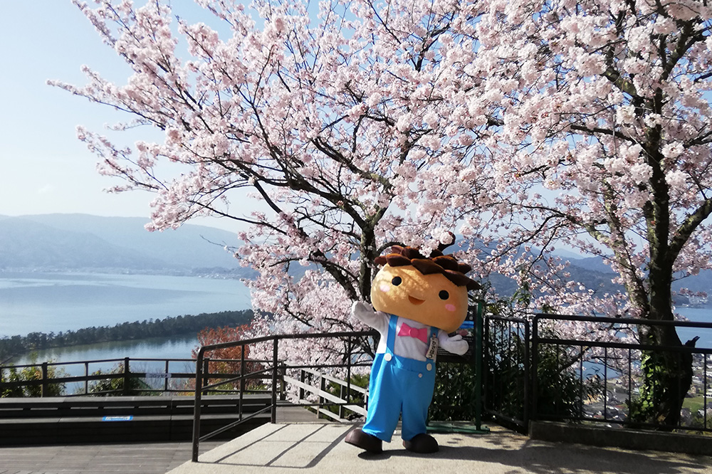 傘松公園ライトアップ「傘彩(かさいろ)」