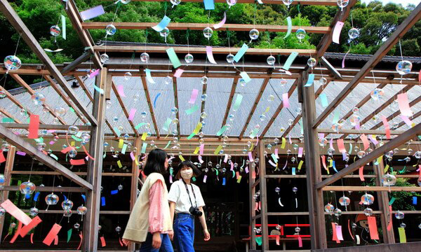 東光院のあじさい(例年見頃は6月上旬~7月上旬)