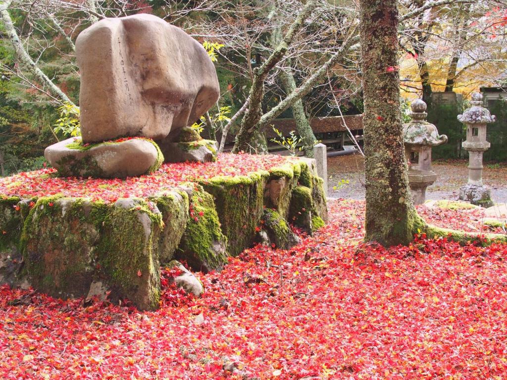 山家もみじまつり