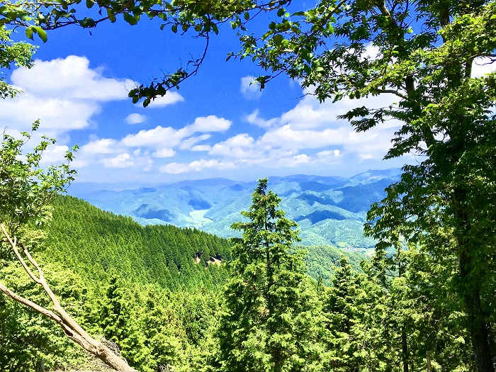 大栗峠（里山ハイキング）