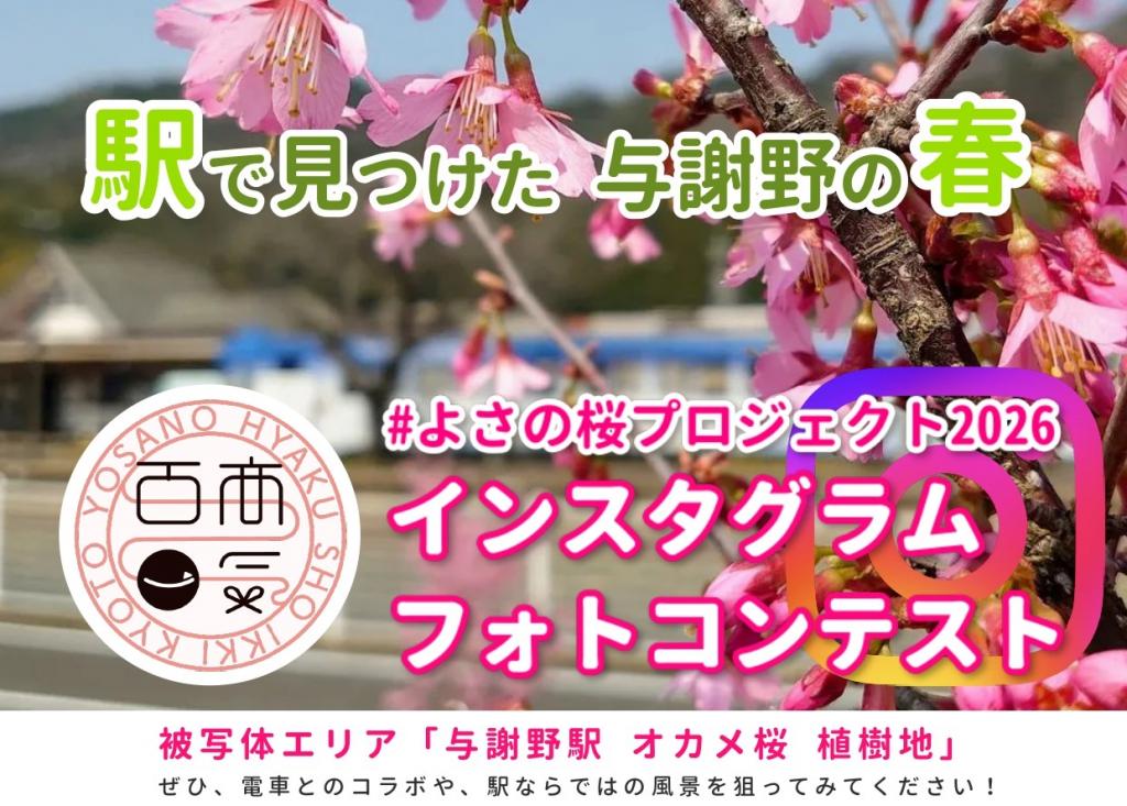 【京都よさの百商一気】与謝野駅のオカメ桜