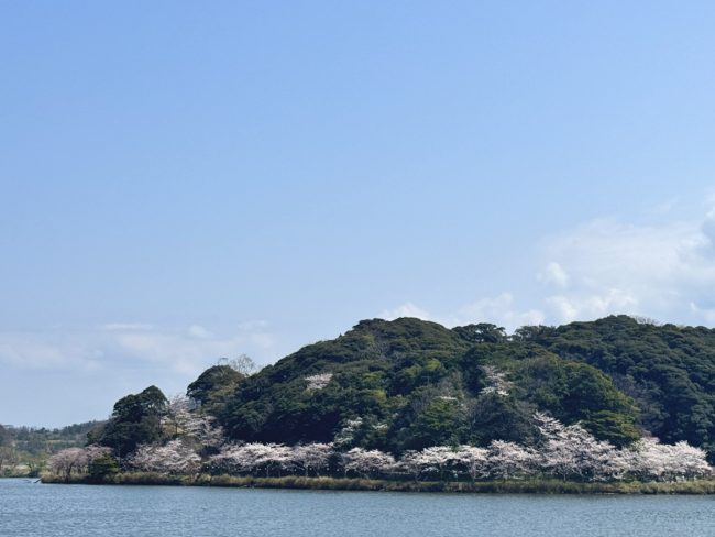 離湖公園-ライトアップ-