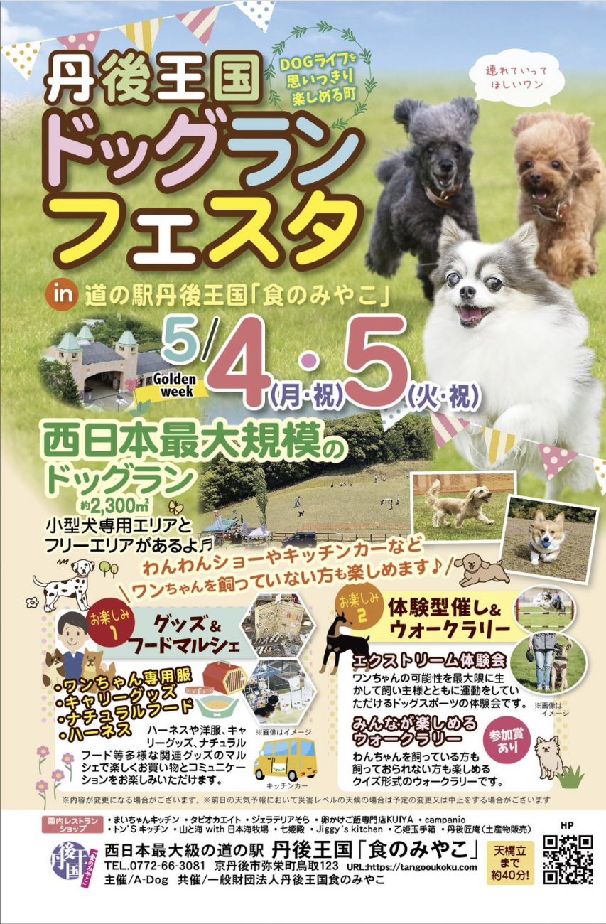 丹後王国ドッグランフェスタウサギのふれあい体験