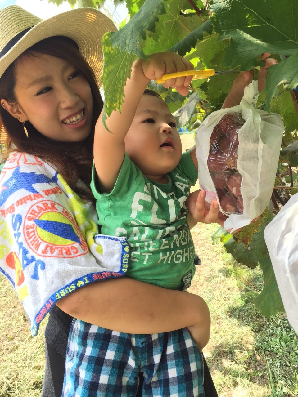 ぶどう狩り体験＆京丹波高原豚スペシャルBBQプラン